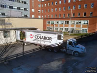 Collabor